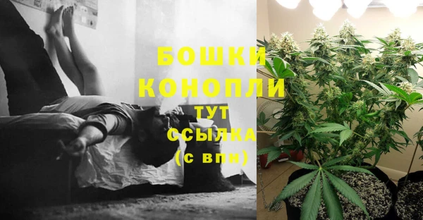 гашик Алексеевка