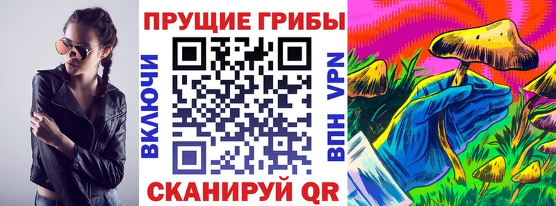 купить  цена  МЕГА ссылка  Псилоцибиновые грибы Magic Shrooms  Трёхгорный 
